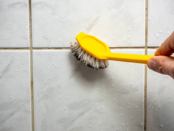 Mold Removal Process in Elberton, GA