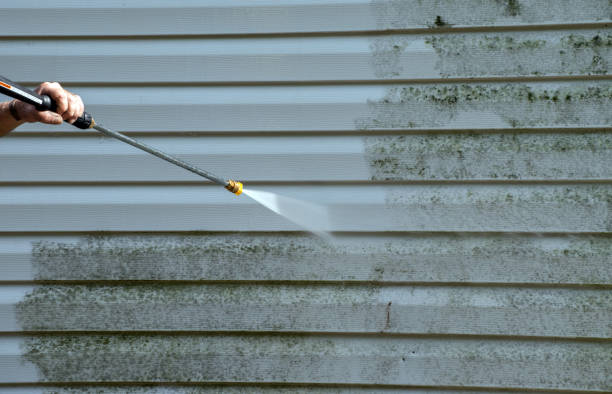 Best Attic Mold Removal  in Elberton, GA