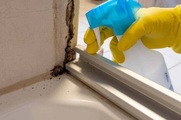 Best Office Mold Removal Services  in Elberton, GA