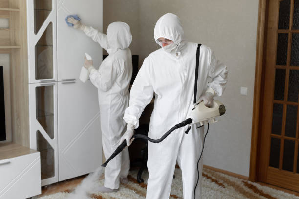 Professional Mold Removal in Elberton, GA
