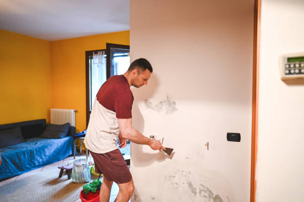 Best Mold Removal Specialists  in Elberton, GA